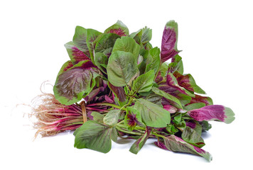 The edible amaranth  on white background