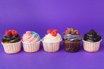 Beautiful cupcake against saturated dark purple background
