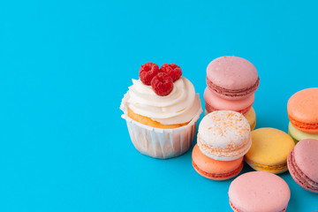 Set of various  fondant cupcakes ready to be eaten - bright and colorful set