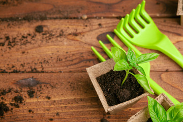 Gardening tools and top view, garden manteinance