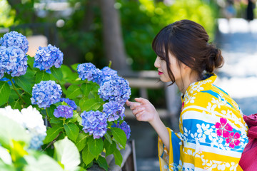京都　紫陽花と浴衣の女性