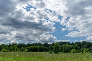 Зеленое поле и голубое небо.