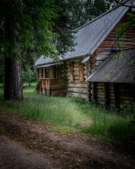 Old wooden house in the woods.