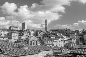 Downtown Siena skyline in Italy