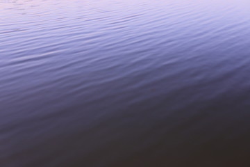 Water background  abstract background.