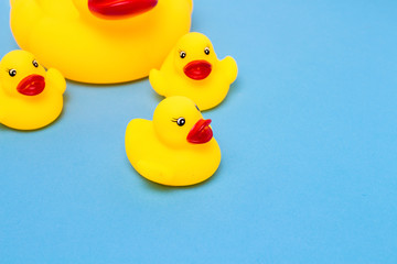 Rubber toy of yellow color Mama-duck and small ducklings on a blue background. The concept of maternal care and love for children, the upbringing and education of children