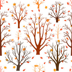 Autumn forest trees pattern. A Woodland background