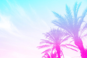 Fototapeta na wymiar Silhouette of palm trees with a bright summer gradient on a bright blue background of the summer sky. Tropic, vacation and travel concept
