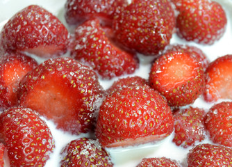Closeup on strawberries in mislsk, with a spray of sugar