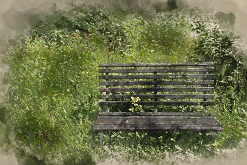 Digital watercolor painting of Landscape image of old bench in vibrant Summer forest