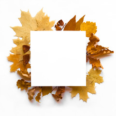 Yellow leaves frame