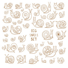 Big vector snails set. Cute cartoon insects. Doodle style. Contour image no fill.