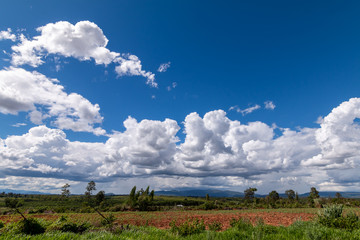 Landscape blue sky with white clouds during day befor raining over agriculture land nature background