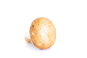Fototapeta premium Fresh champignon mushrooms on white background, Isolated food and nature object