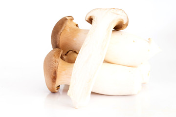 King oyster mushroom or Eryngii mushroom isolated on white background