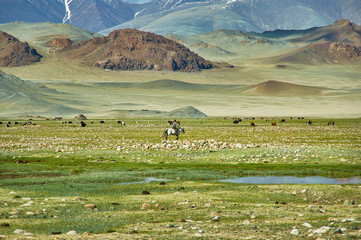 Mongolian Altai.  Scenic valley on the background of the snowcapped mountains.