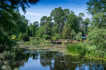 Arboretum w Bolestraszycach