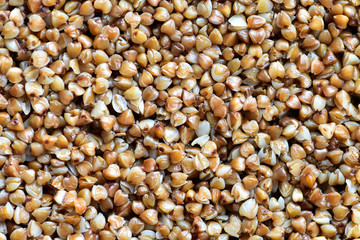 Steamed buckwheat close-up, macro photography