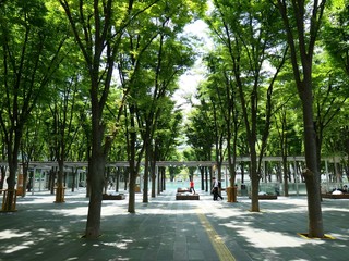 日本の公園の広場