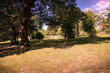 Scenic nature picture of trees and grass in Clyne gardens, Swansea