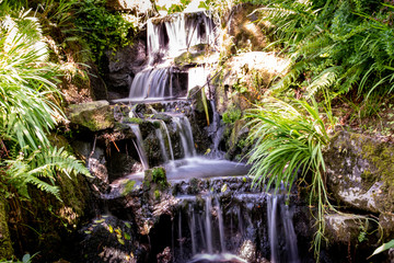 Scenic picture of a waterfall, Clyne gardens, Swansea