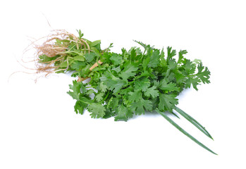 Onions, fresh coriander on white background