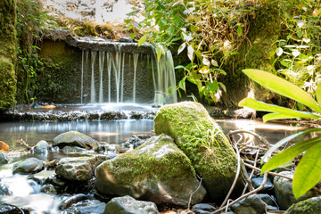 Scenic picture of a waterfall, Clyne gardens, Swansea
