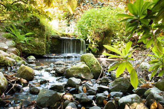 Scenic picture of a waterfall, Clyne gardens, Swansea