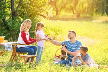 Happy family on summer picnic in park
