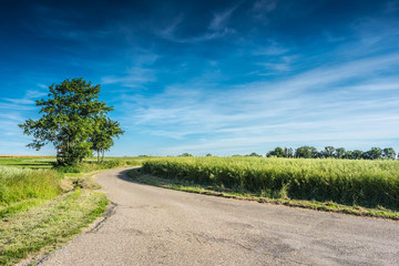 Green field with agriculture meadow and blue sky. Panoramic view to grass on the hill on sunny spring day