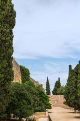 Obraz premium Ancient city wall of Tarragona, Spain, surrounded by cypresses. Urban landscapes of Tarragona.