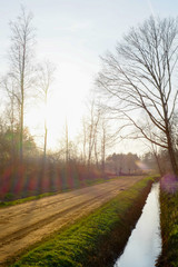 Fototapeta premium Sandy dirt road between agraric fields in a sunset flare during wintertime