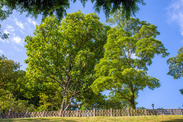Fort  Canning Park Singapur