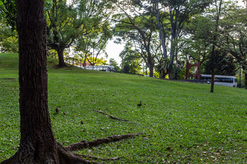 Fort canning , Park, Singapur