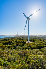 The Albany Wind Farm is one of the most spectacular and largest wind farms in Australia. The...