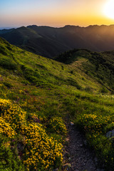 Obraz premium Beautiful clear sky summer sunset in the mountains. Landscape with sun light shining