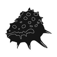 Vector illustration of nature and ocean symbol. Set of nature and mollusk vector icon for stock.