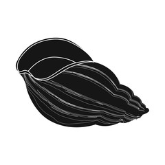 Vector design of nature and ocean icon. Set of nature and mollusk stock vector illustration.