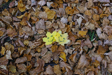 couple of yellow autumn maple leaves with image of cheerful emoticons fallen on dry autumn foliage in forest or park
