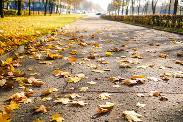 old cracked asphalt footpath covered with yellow autumn foliage fallen from trees along street road