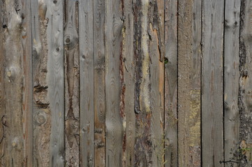 Wooden fence. Background old wooden fence. Tree.