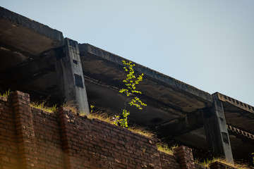 Unfinished abandoned brick building overgrown with vegetation