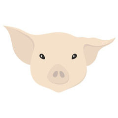 Vector illustration of a pig's head in flat style. - 276673983