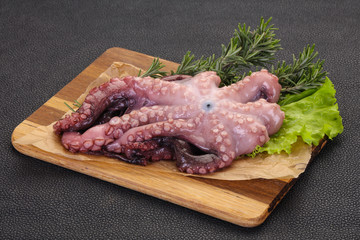 Raw octopus ready for cooking
