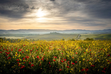 Countryside near Pienza, Tuscany, Italy