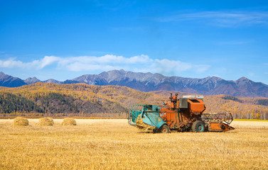 Fototapeta premium Combine harvester working in the field in the Siberian Tunka valley against the background of the Eastern Sayan Mountains. Beautiful autumn rural landscape
