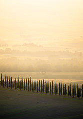 Obraz premium Countryside near Pienza, Tuscany, Italy