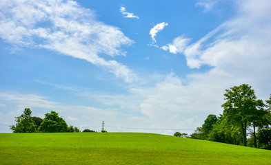 Fototapeta na wymiar Green grass view with blue sky background