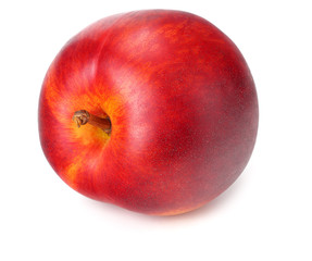 One nectarine isolated on a white background