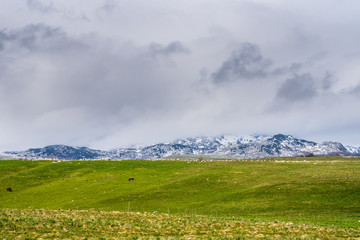 Fototapeta premium Montenegro, Impressive mountains of durmitor national park nature massif hidden in cloudscape behind green meadow with sheep and cows resting in the sun